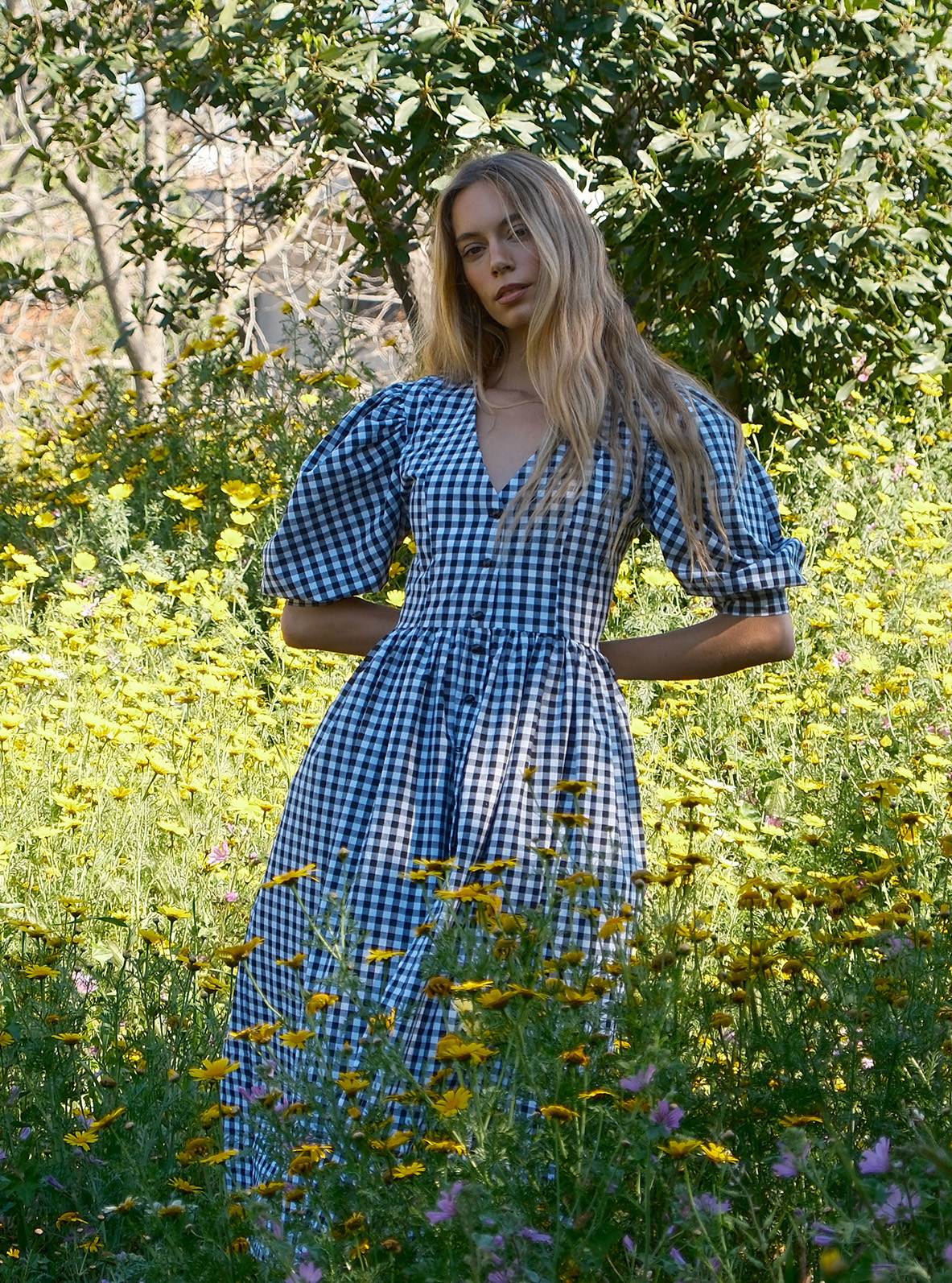 Alpine picnic dress - Image 5