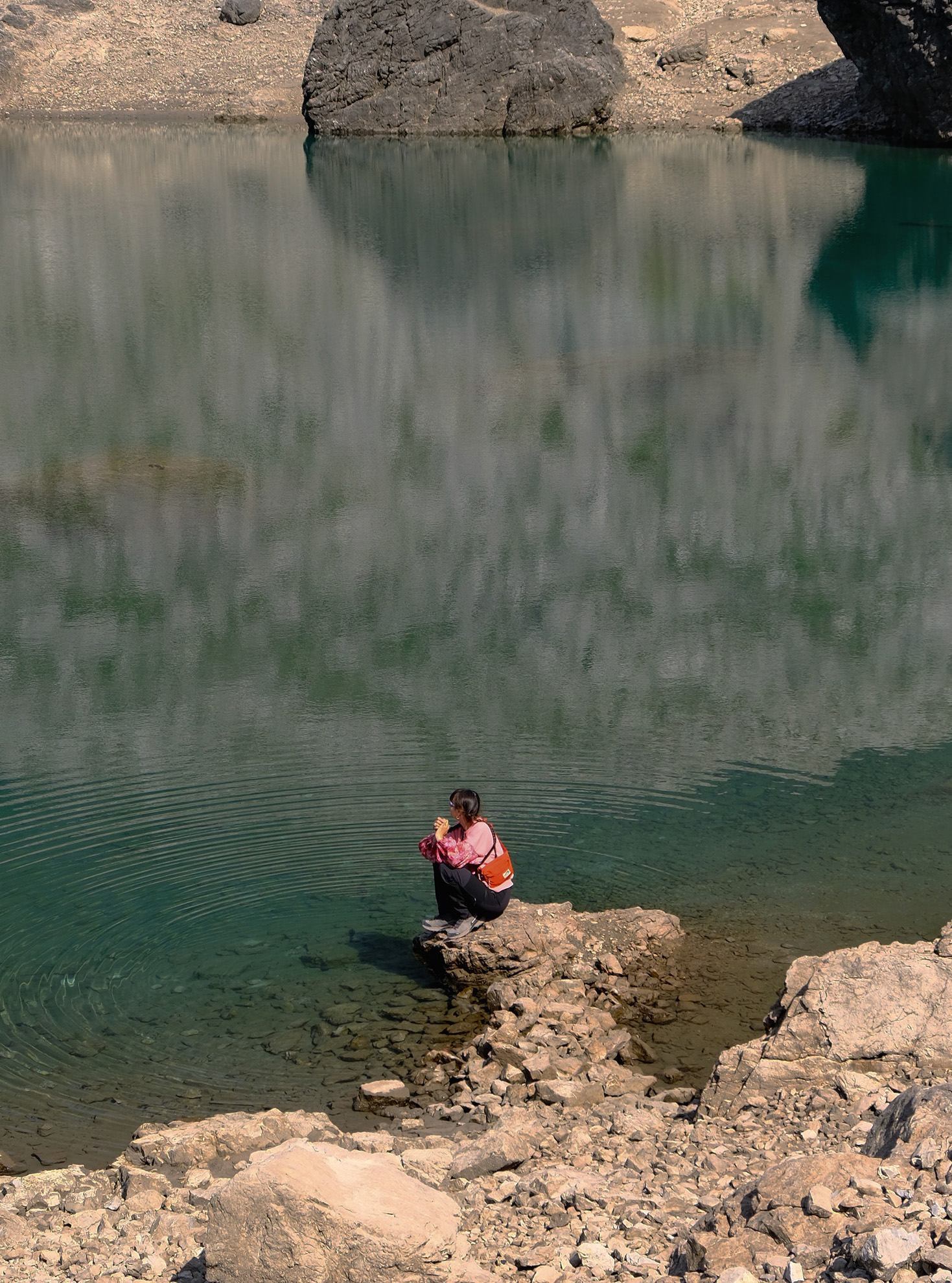 Pink meadow - Image 15