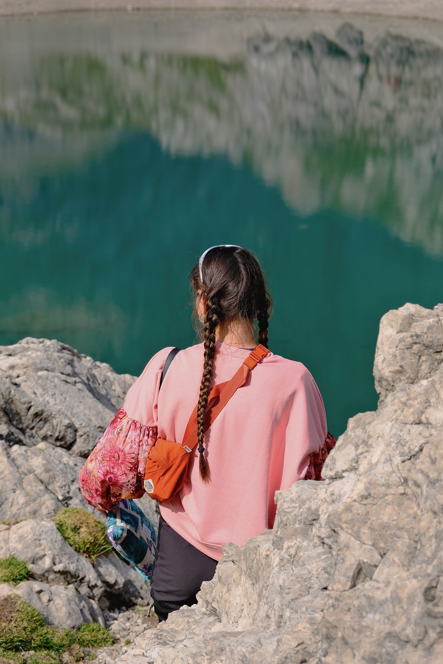Pink meadow - Image 11